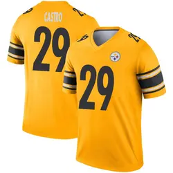 Nike Sebastian Castro Pittsburgh Steelers Men's Legend Gold Inverted Jersey